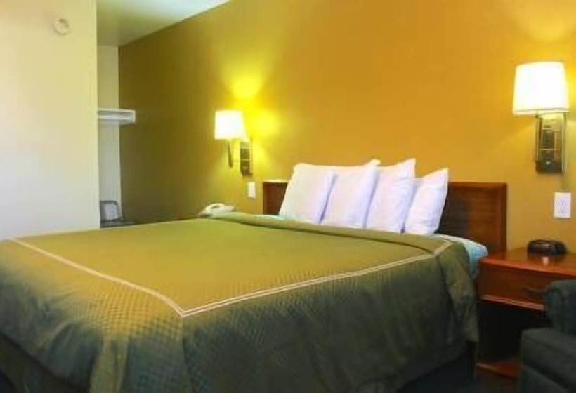 فندق على الطريق Echo Lodge