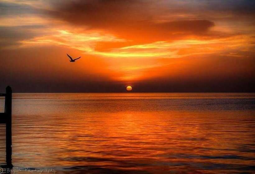 فندق على الطريق Edgewater Lodge