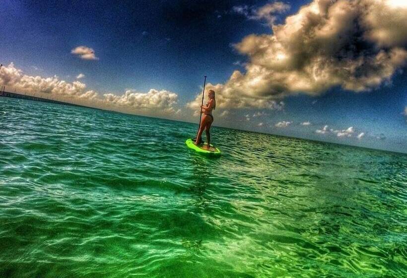 فندق على الطريق Edgewater Lodge