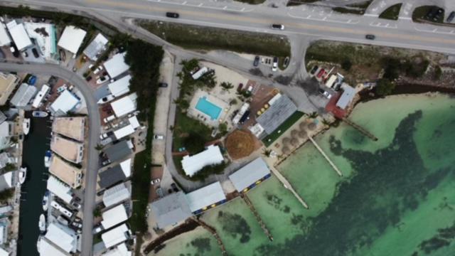 فندق على الطريق Edgewater Lodge