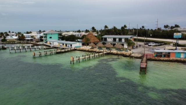 فندق على الطريق Edgewater Lodge