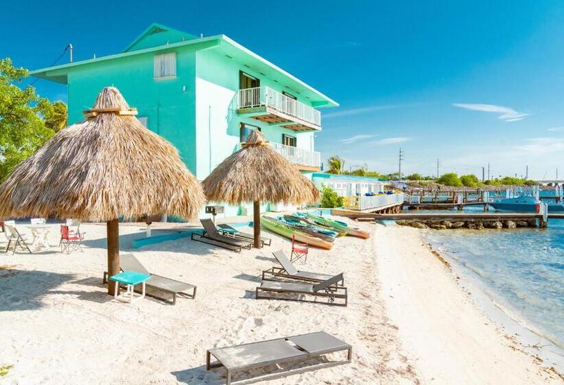 فندق على الطريق Edgewater Lodge