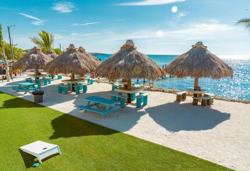 فندق على الطريق Edgewater Lodge