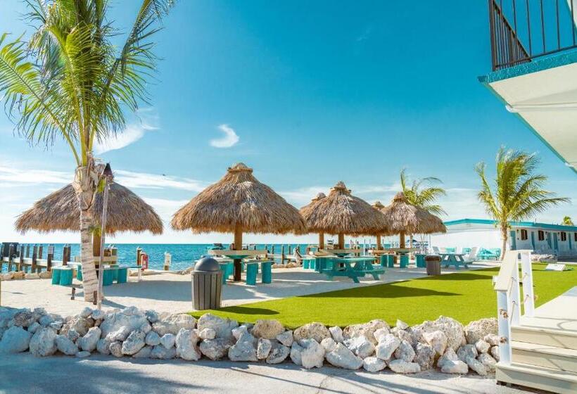 فندق على الطريق Edgewater Lodge