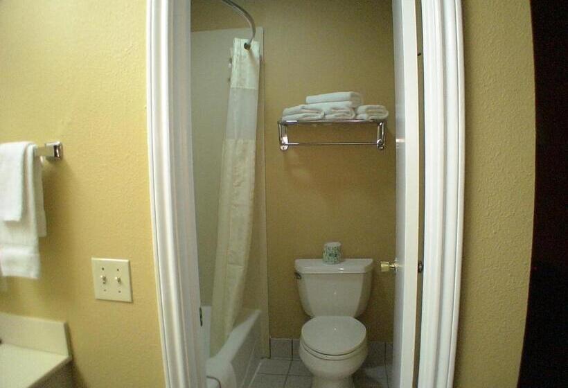 汽车旅馆  La Grange Executive Inn And Suites