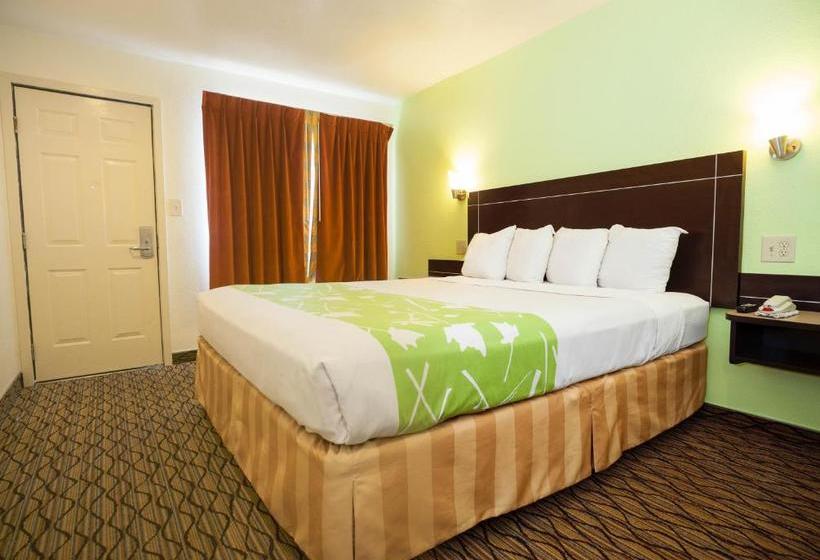 汽车旅馆  Piedmont Place