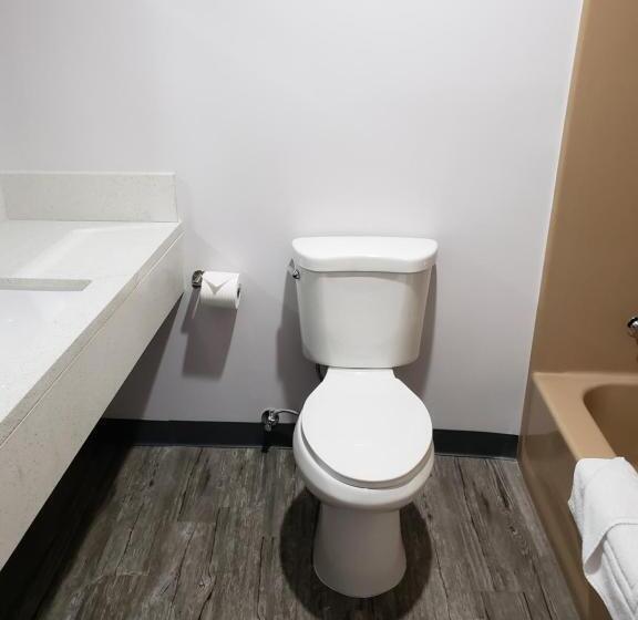 فندق على الطريق Regal Inn