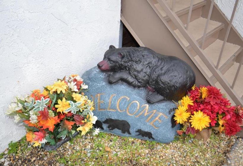 モーテル Rivergate Mountain Lodge