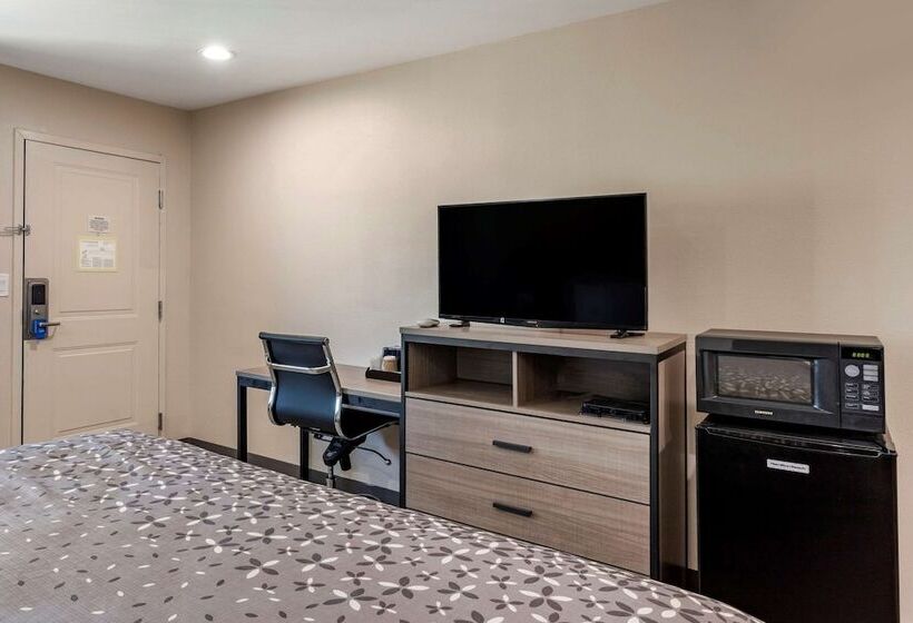 فندق على الطريق Rodeway Inn