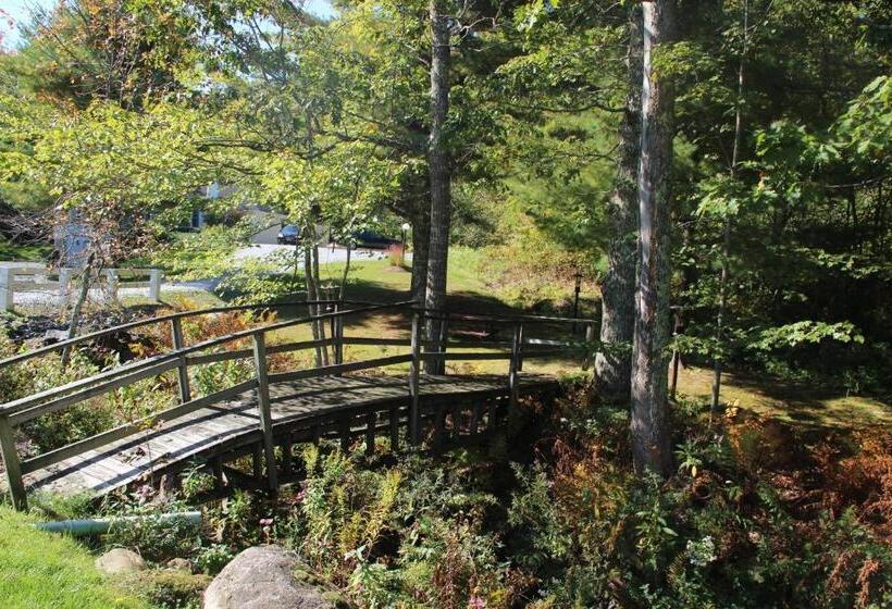 汽车旅馆 Schooner Bay Motor Inn