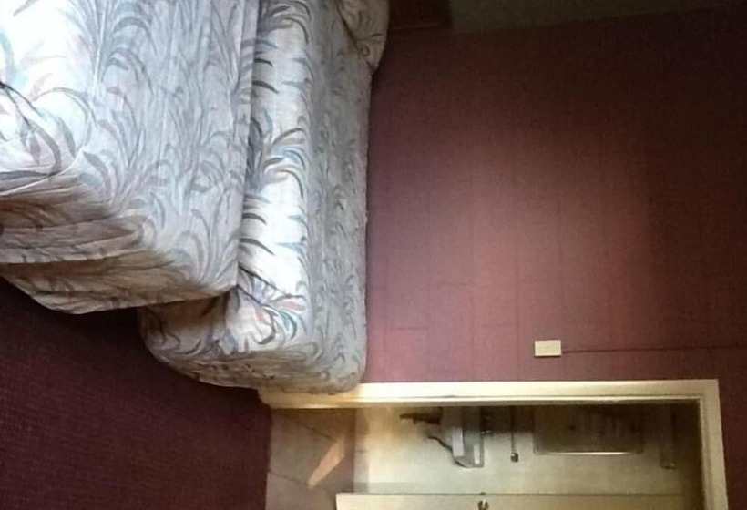 فندق على الطريق Snowy River Inn