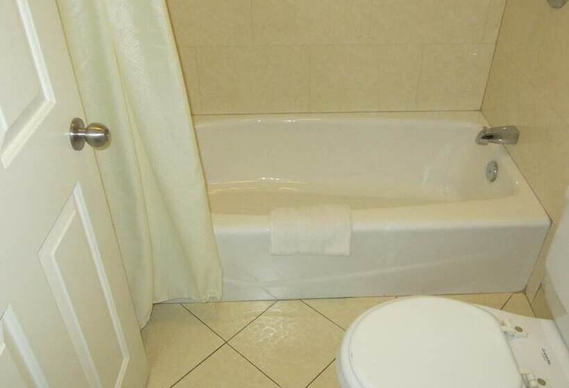 汽车旅馆 Starlight Inn Van Nuys