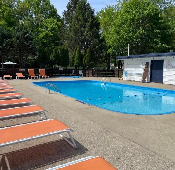 汽车旅馆 Starlite Resort