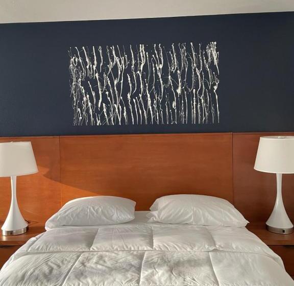 汽车旅馆 Starlite Resort