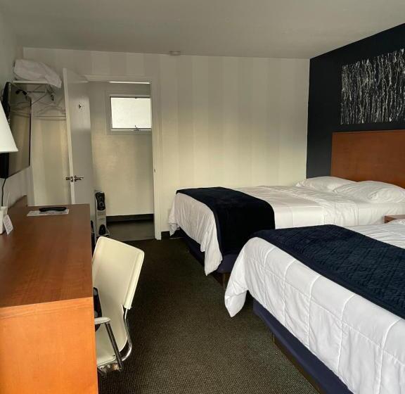 汽车旅馆 Starlite Resort