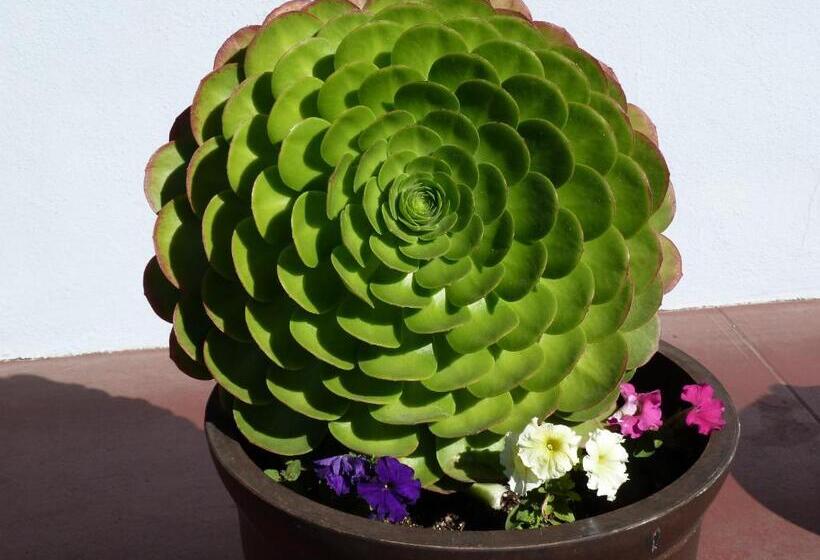 فندق على الطريق Sundown Inn Of Morro Bay