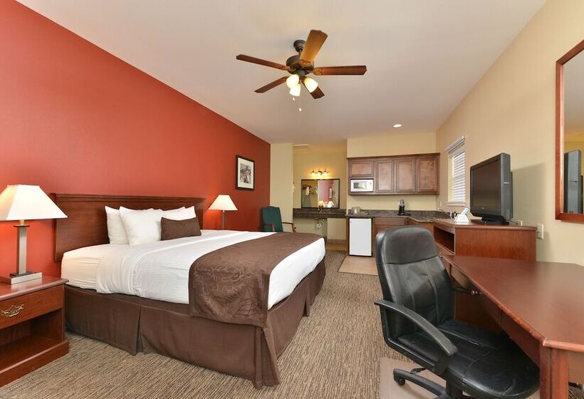 汽车旅馆  The Texas Lodge