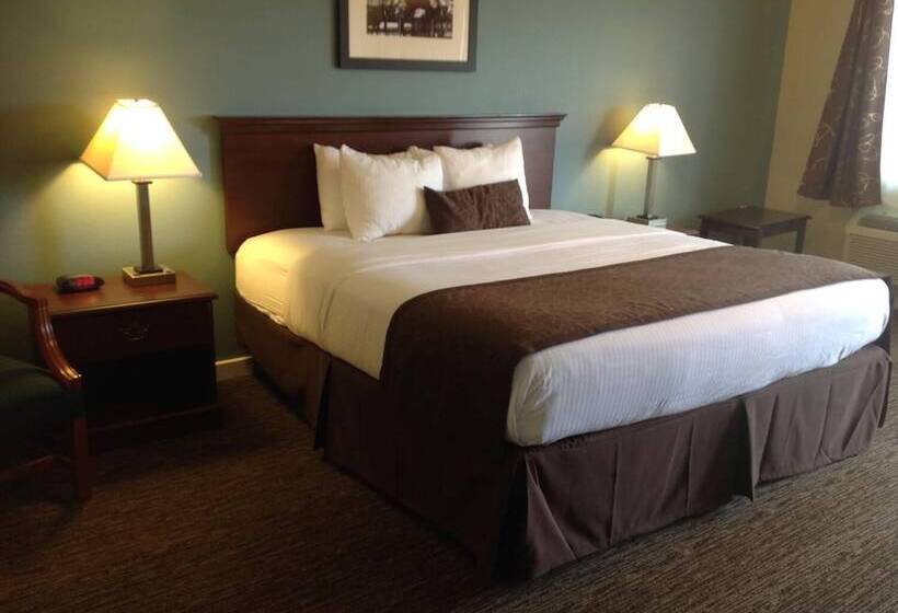 Мотель The Texas Lodge