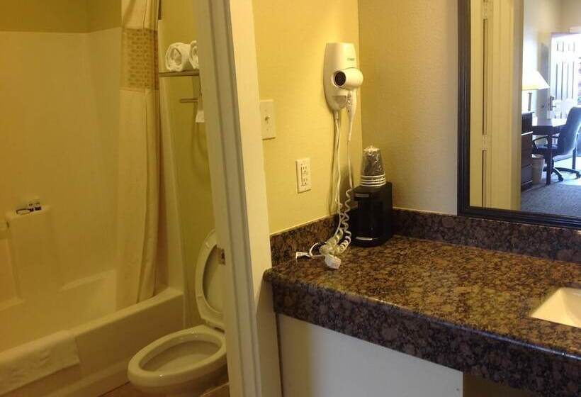 Мотель The Texas Lodge