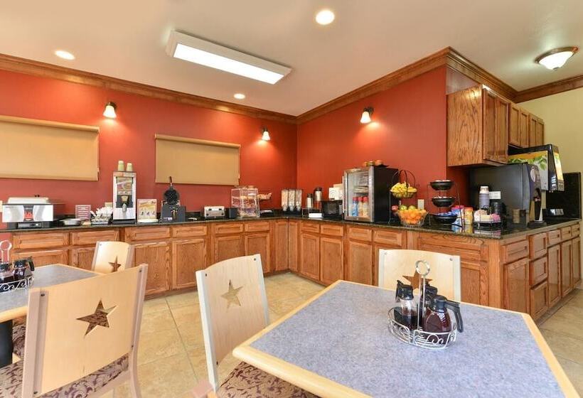 汽车旅馆  The Texas Lodge