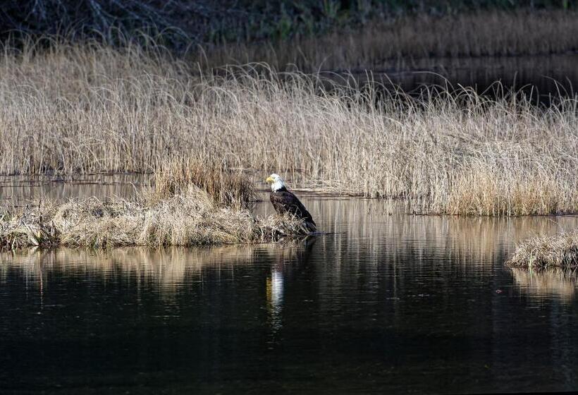 Otter's Pond Bed And Breakfast
