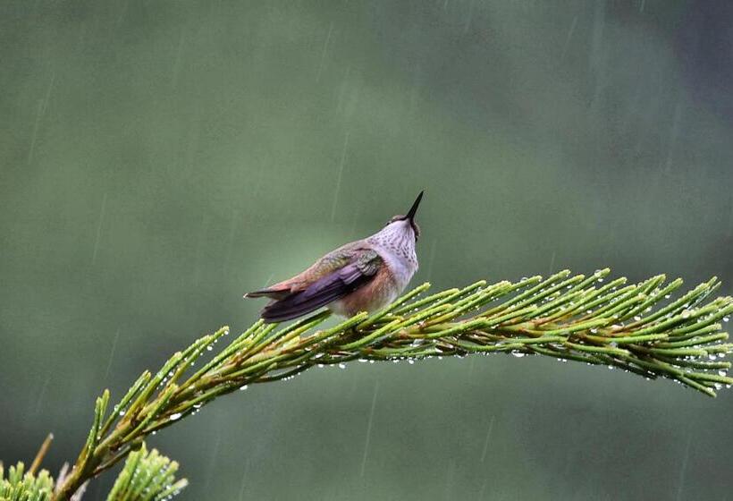 Otter's Pond Bed And Breakfast