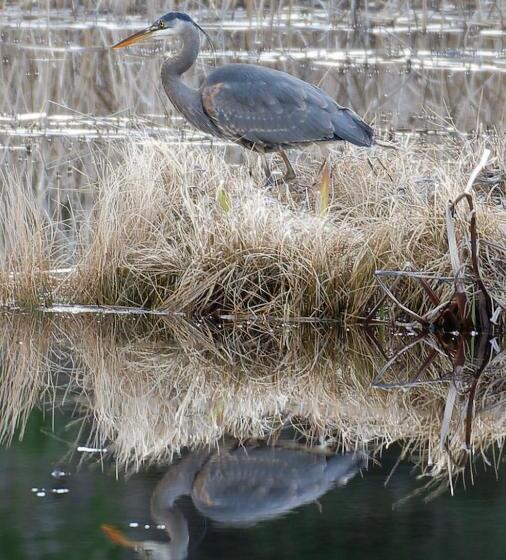 Otter's Pond Bed And Breakfast