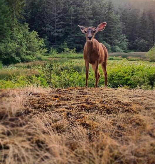 Otter's Pond Bed And Breakfast