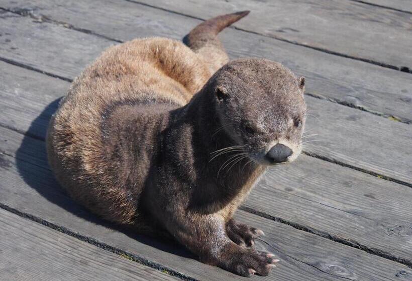 Otter's Pond Bed And Breakfast