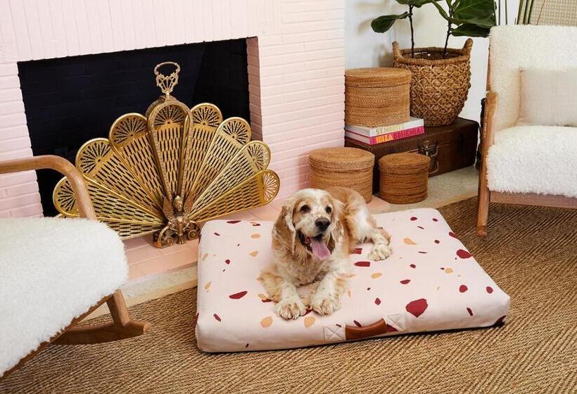 منتجع Les Cactus