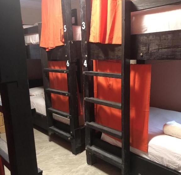 Seashell Motel And International Hostel