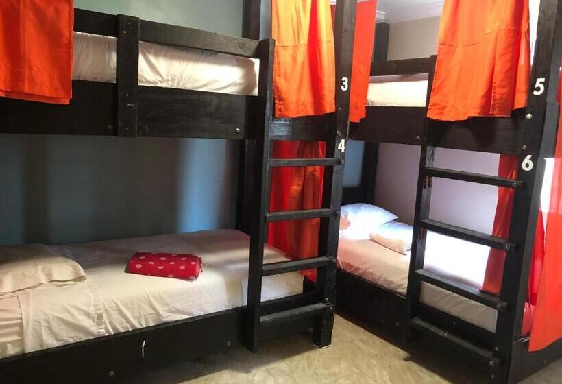 Seashell Motel And International Hostel