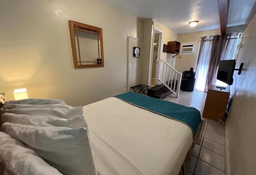 Seashell Motel And International Hostel