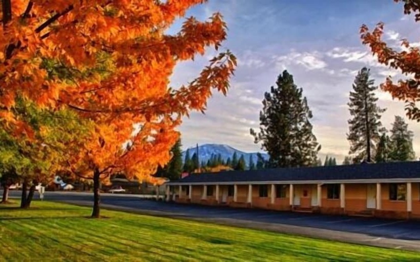 Shasta Pines Motel & Suites