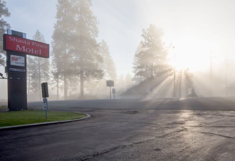 Shasta Pines Motel & Suites