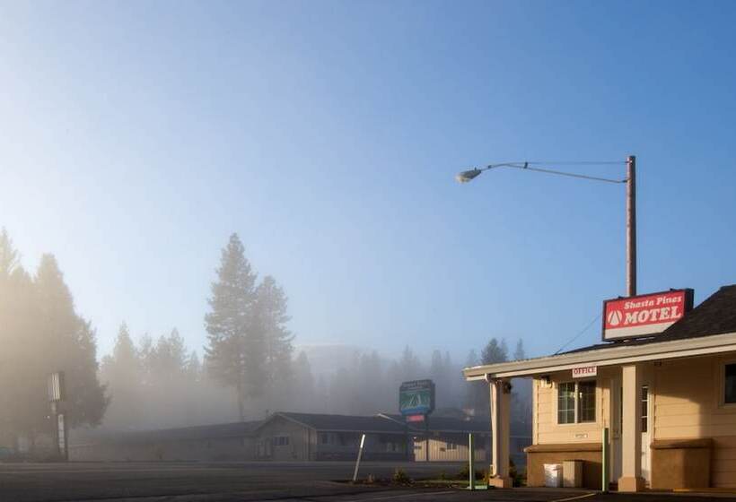 Shasta Pines Motel & Suites
