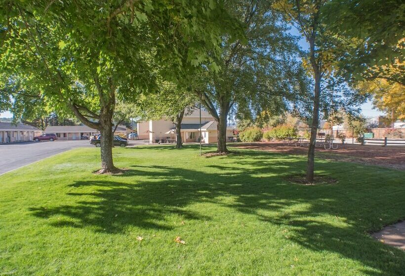 Shasta Pines Motel & Suites