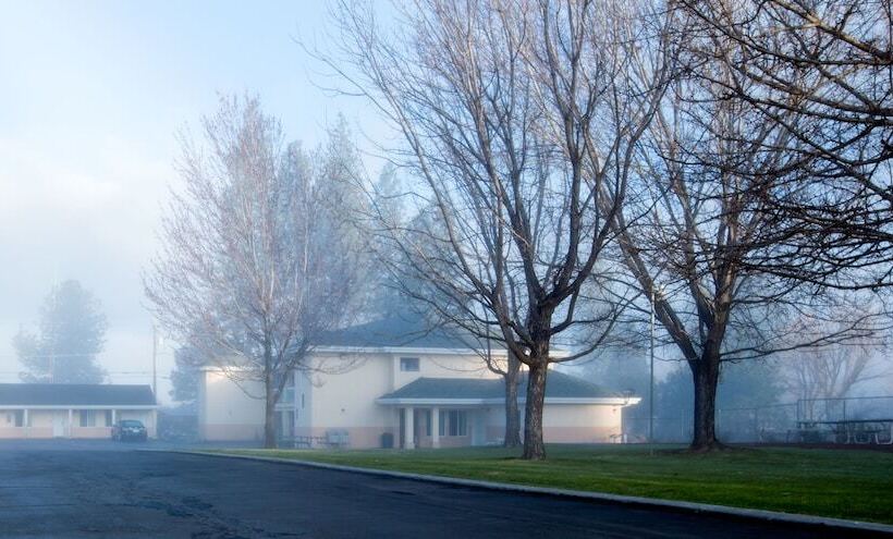 Shasta Pines Motel & Suites