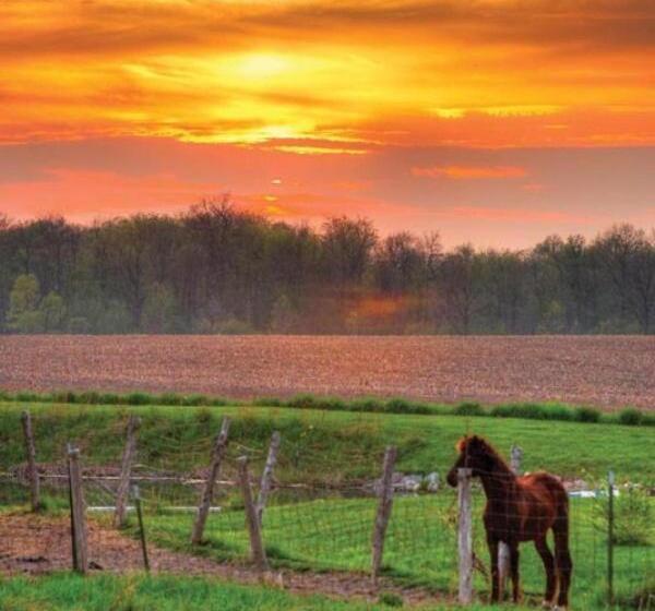 The Bella Ella Bed And Breakfast