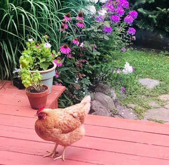 The Bella Ella Bed And Breakfast