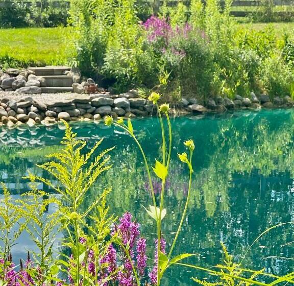 The Bella Ella Bed And Breakfast