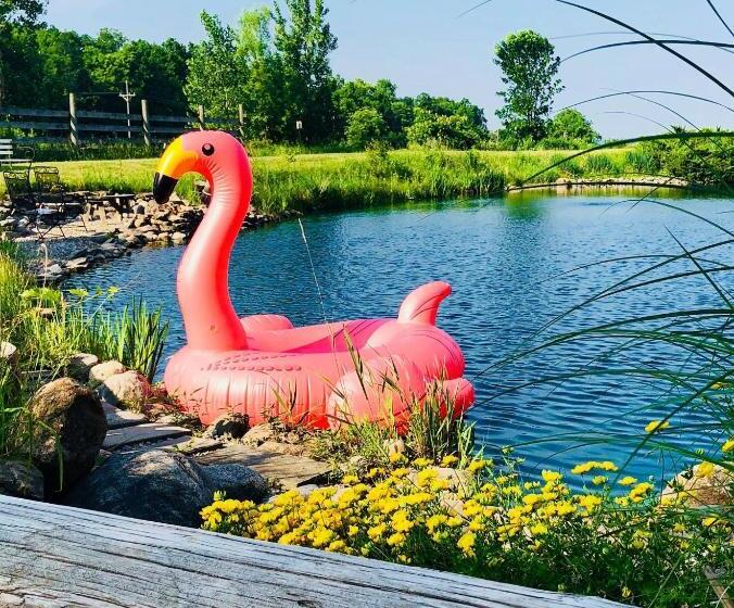 The Bella Ella Bed And Breakfast