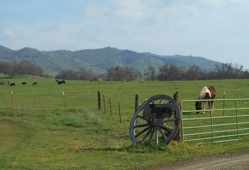 The Branded Calf Bed & Breakfast