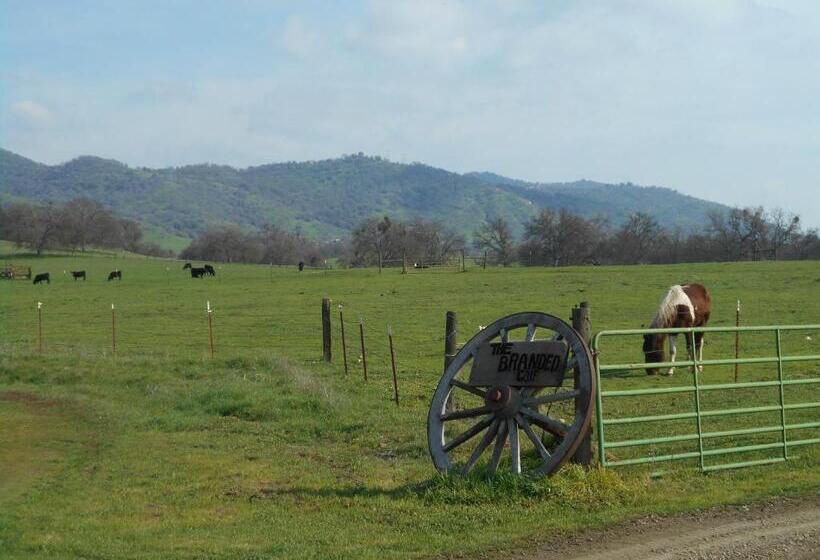 The Branded Calf Bed & Breakfast