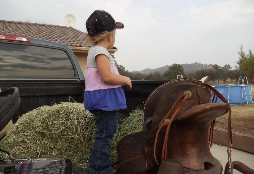 The Branded Calf Bed & Breakfast