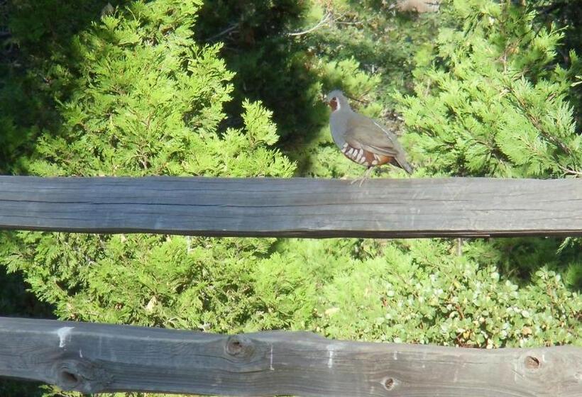 The Branded Calf Bed & Breakfast