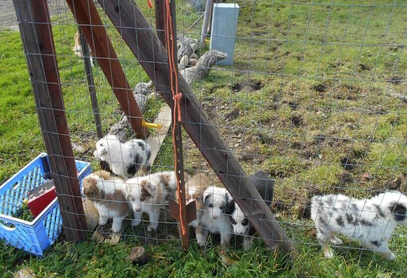 The Branded Calf Bed & Breakfast