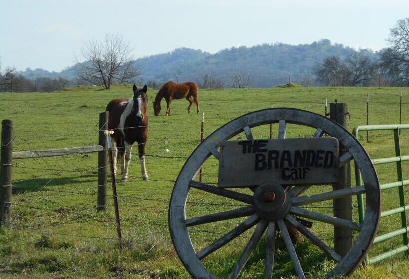 The Branded Calf Bed & Breakfast