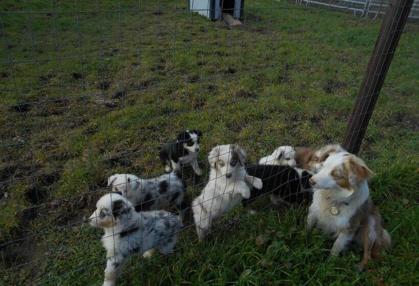 The Branded Calf Bed & Breakfast