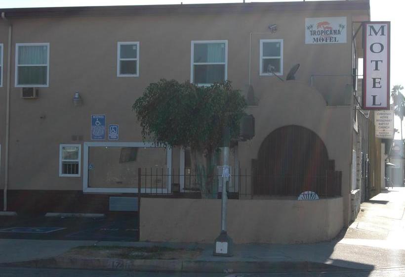 Tropicana Motel